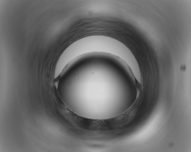 X0000094080190200711091223