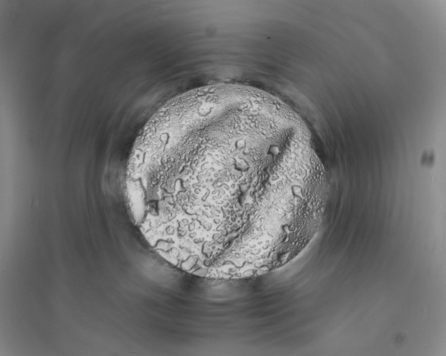 X0000094080191200711091223