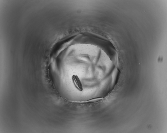 X0000094080192200711091223