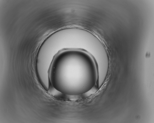X0000094080193200711091223