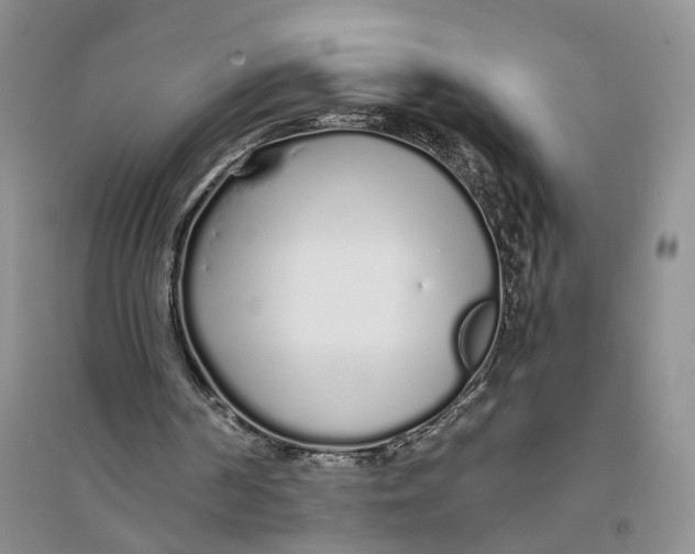 X0000094080194200711091223