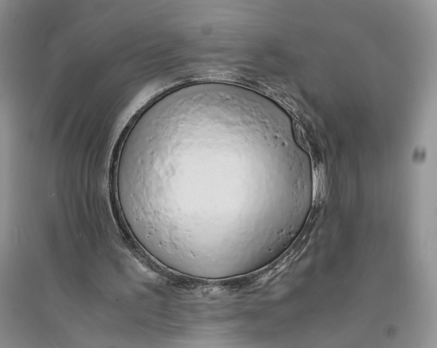 X0000094080195200711091223