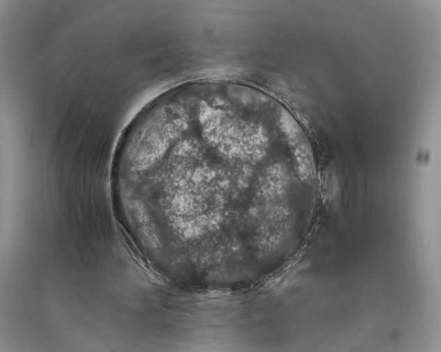 X0000094080196200711091223