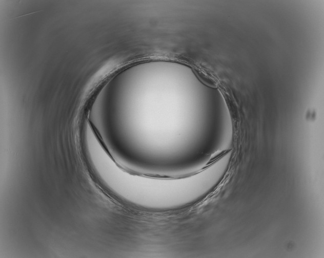 X0000094080197200711091222