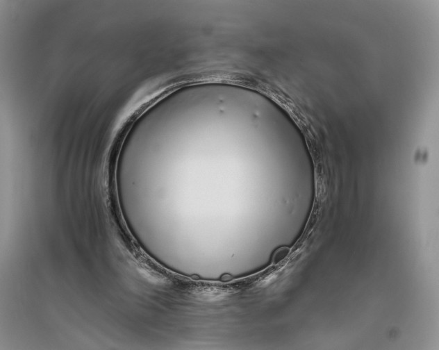 X0000094080198200711091222
