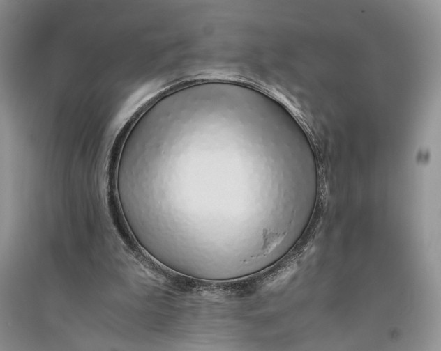 X0000094080199200711091222