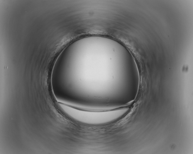 X0000094080201200711091222