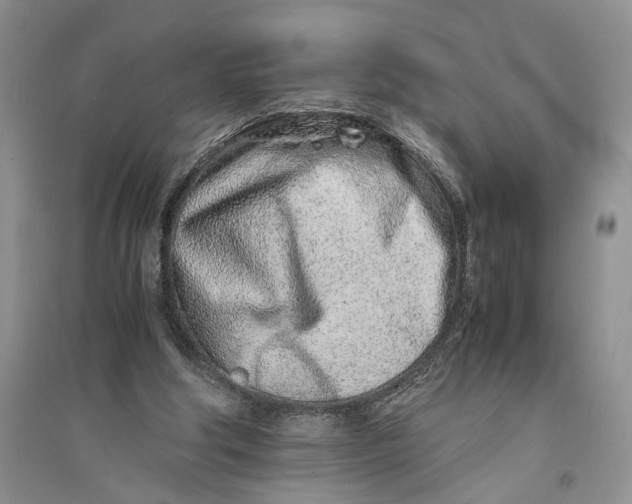 X0000094080202200711091222