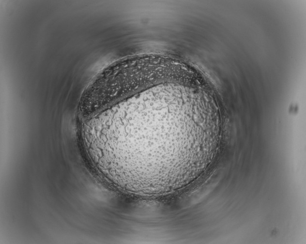 X0000094080203200711091222