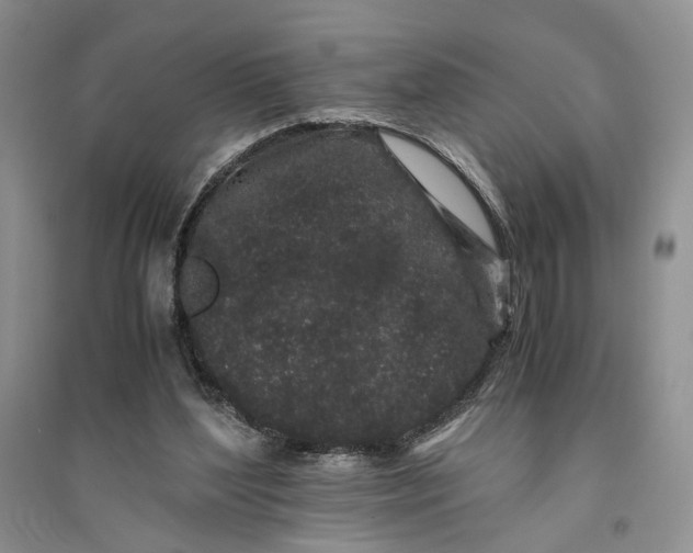 X0000094080204200711091222