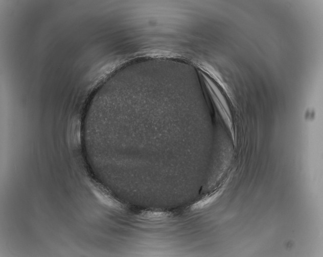 X0000094080205200711091222