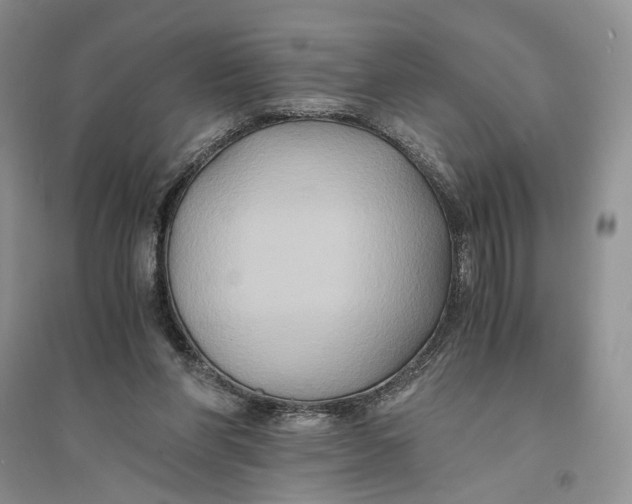 X0000094080206200711091222