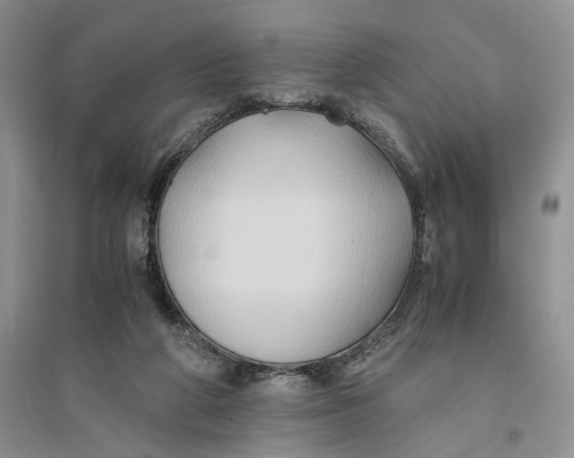 X0000094080210200711091222