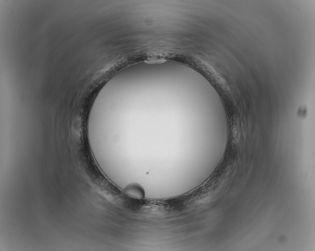 X0000094080211200711091222