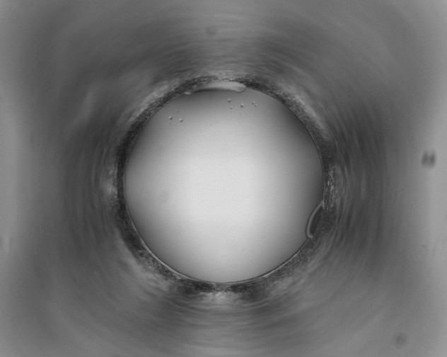 X0000094080212200711091222