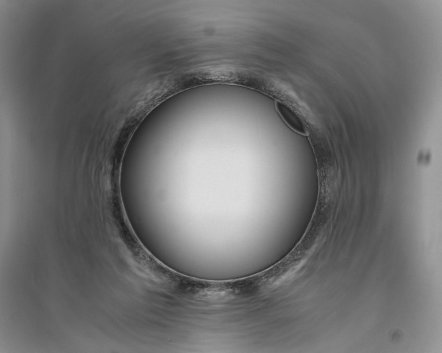 X0000094080213200711091222