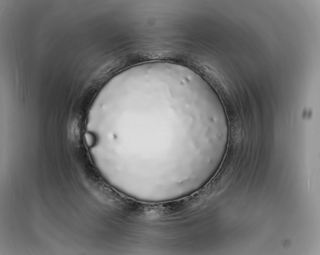 X0000094080214200711091222