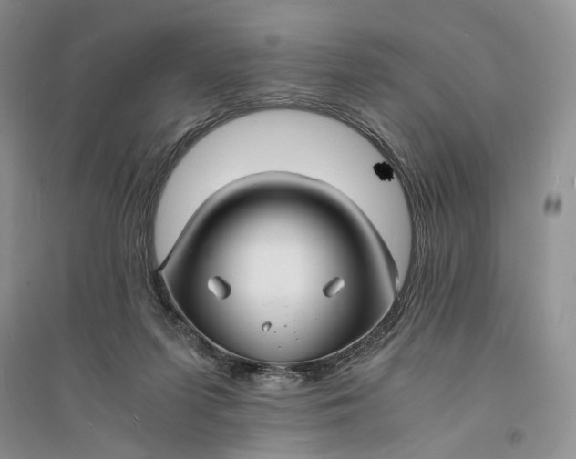 X0000094080215200711091222