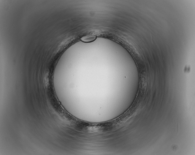 X0000094080216200711091222