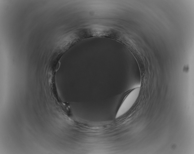 X0000094080219200711091222