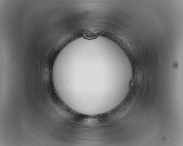 X0000094080220200711091222