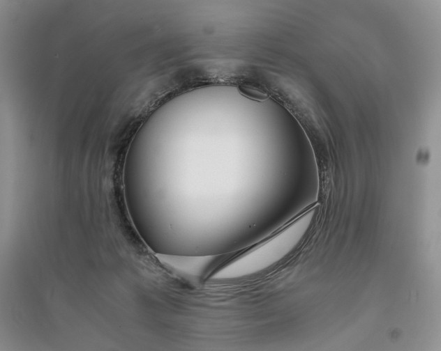 X0000094080221200711091222