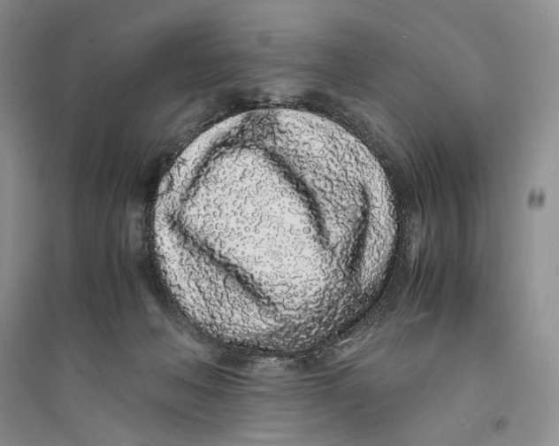 X0000094080222200711091222