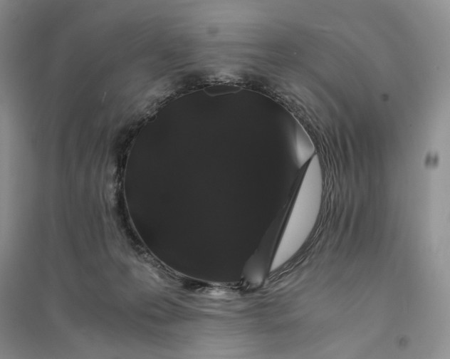 X0000094080223200711091222