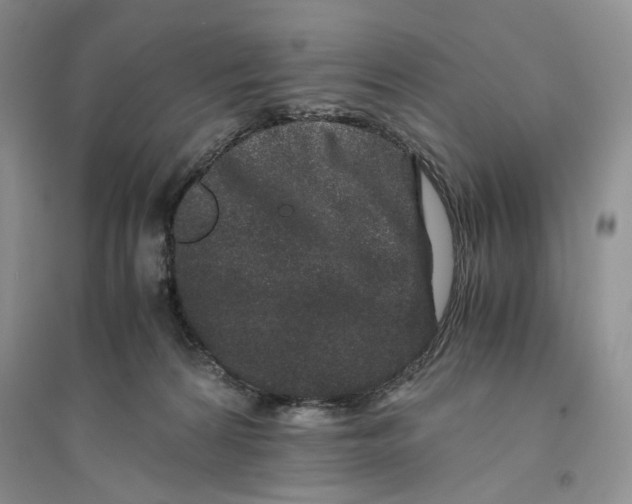X0000094080224200711091222