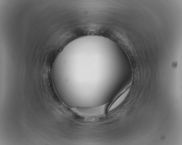 X0000094080225200711091222