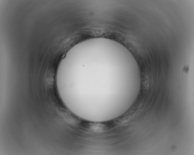 X0000094080226200711091222