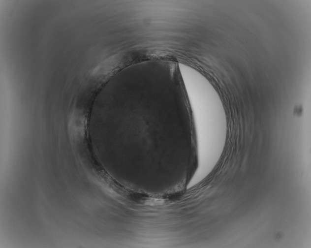 X0000094080227200711091222