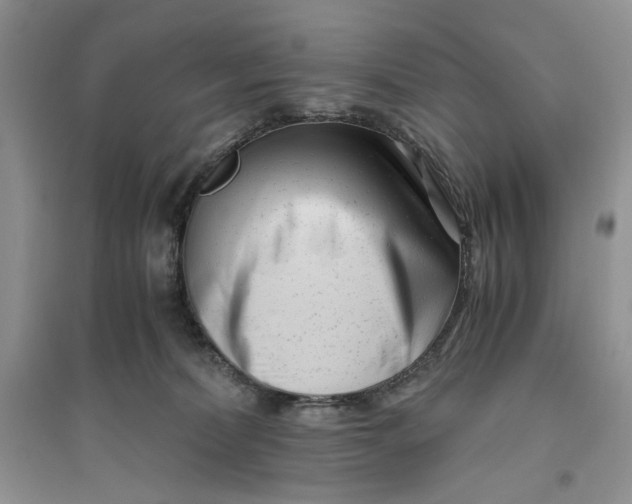 X0000094080228200711091222