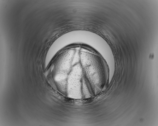 X0000094080229200711091222
