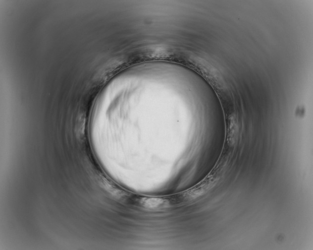 X0000094080230200711091222