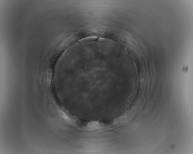 X0000094080231200711091222