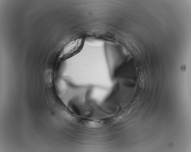 X0000094080232200711091222