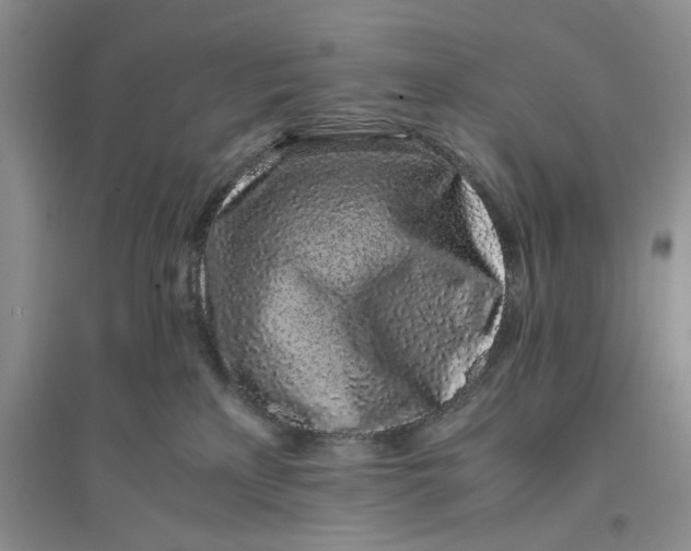 X0000094080233200711091222