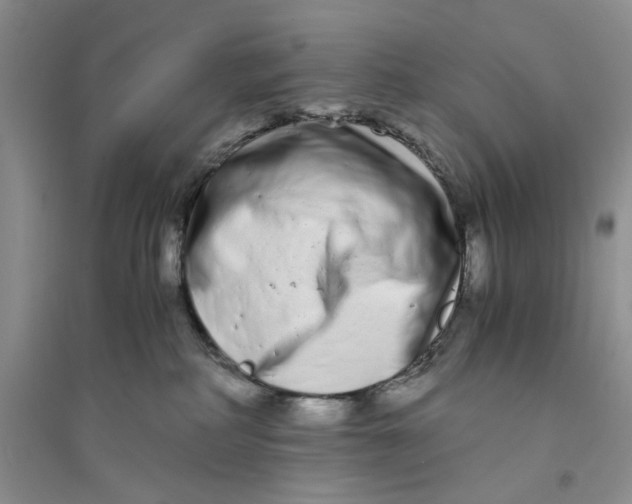 X0000094080234200711091222