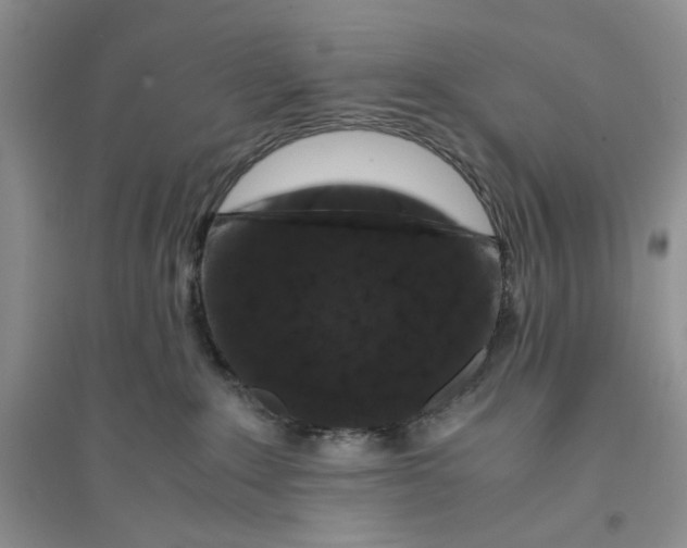 X0000094080235200711091222