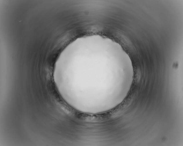 X0000094080236200711091222