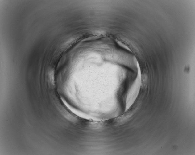 X0000094080238200711091222