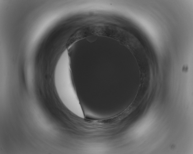 X0000094080239200711091222