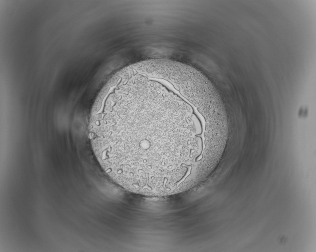 X0000094080240200711091222