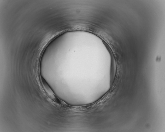 X0000094080241200711091221