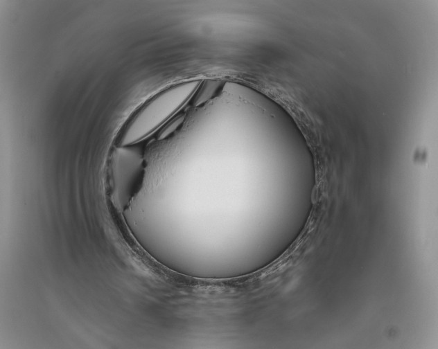 X0000094080242200711091221
