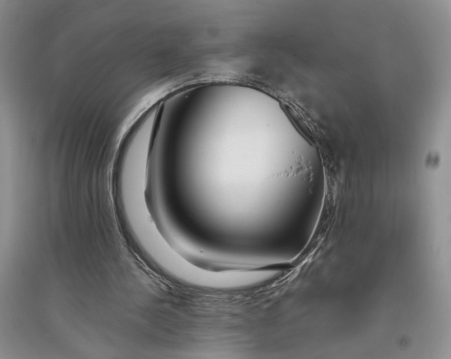 X0000094080244200711091221