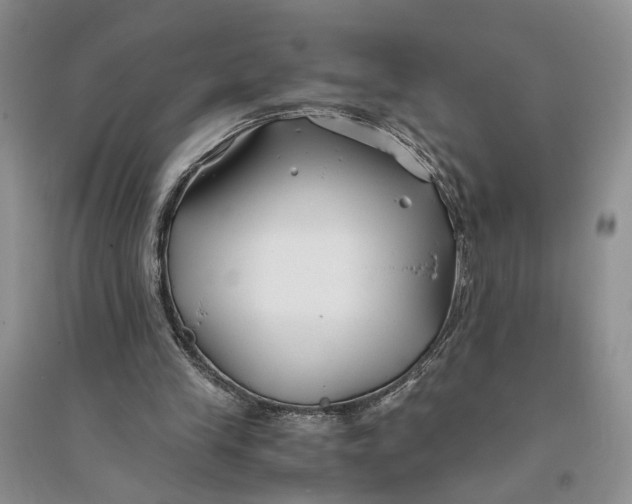 X0000094080245200711091221