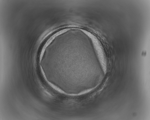 X0000094080247200711091221