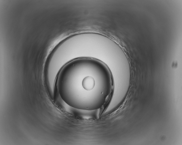X0000094080248200711091221